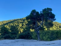 Xorret del Cati da Castalla