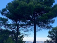 Xorret del Cati da Castalla