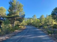 Xorret del Cati da Castalla