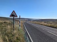 Yad Moss da Alston