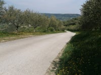 Zamask por Sveti Bartol