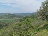 Zamask por Sveti Bartol
