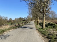 Zammelenberg von Jesseren