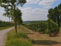 Zammelenberg von Jesseren