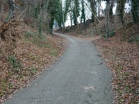 Zandberg