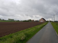 Zandberg