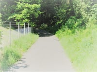 Zandberg