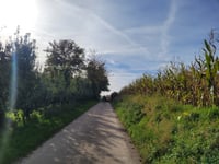 Zavelberg über Houdakkerstraat