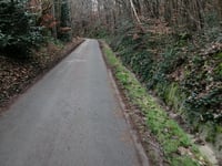 Zavelstraat