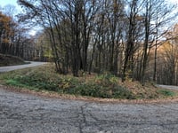 Závoz nyereg von Diósjenő