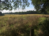 Zevendal
