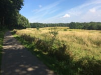 Zevendal