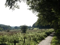 Zevendal