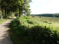 Zevendal
