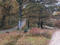 Zijpenberg über Bezoekerscentrum Veluwezoom