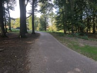 Zijpenberg über Bezoekerscentrum Veluwezoom