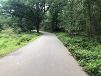Snippendaalseweg