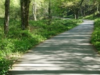 Snippendaalseweg