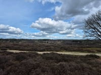 Snippendaalseweg