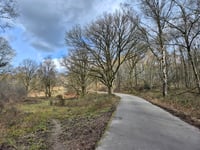 Snippendaalseweg