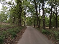 Snippendaalseweg