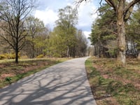 Snippendaalseweg