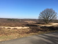 Snippendaalseweg