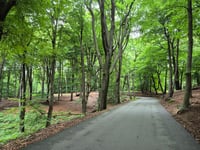 Zijpenberg da Rozendaal