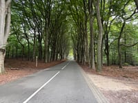 Zijpenberg da Rozendaal