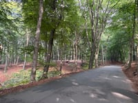 Zijpenberg da Rozendaal