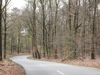 Zijpenberg da Rozendaal