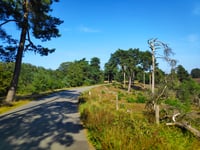 Zijpenberg da Rozendaal