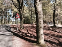Zijpenberg da Rozendaal