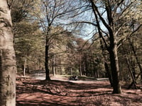 Zijpenberg da Rozendaal