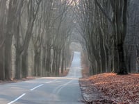 Zijpenberg z Rozendaal