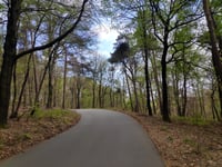 Zijpenberg da Rozendaal