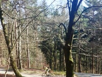 Zijpenberg da Rozendaal