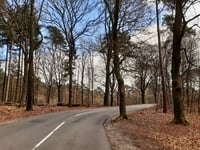 Zijpenberg da Rozendaal