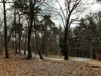 Zijpenberg da Rozendaal