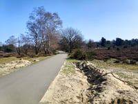 Zijpenberg über Brandtorenweg