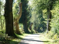 Zilverberg da Doorwerth