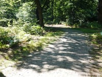 Zilverberg von Oosterbeek