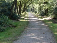 Zilverberg von Oosterbeek