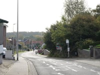 Zilverdennenlaan über Bergstraat