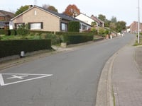 Zilverdennenlaan über Bergstraat