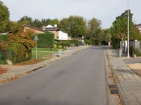 Zilverdennenlaan über Bergstraat