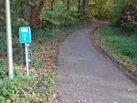Zilverdennenlaan über Bergstraat