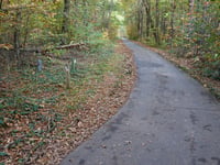 Zilverdennenlaan über Bergstraat