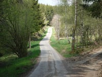 Zimtbüchel von Holzwarche