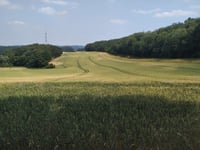 Zipperberg depuis Felderbachstrasse